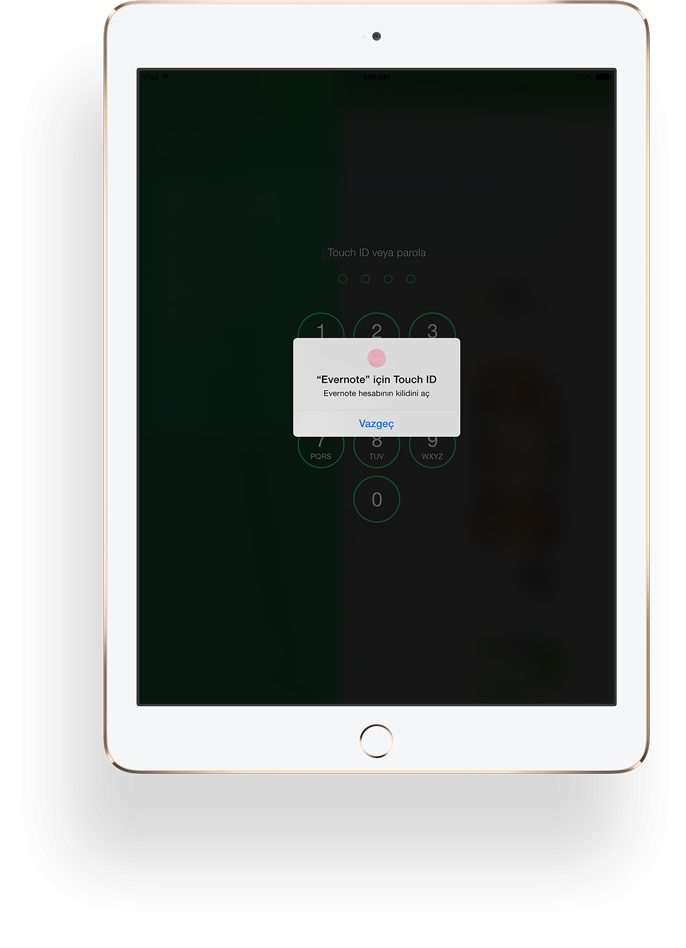 instant_login_large