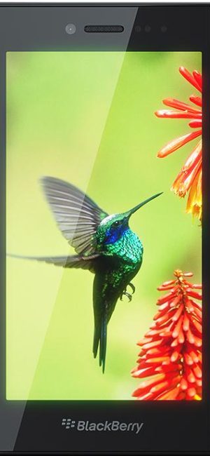 BlackBerry Leap arka