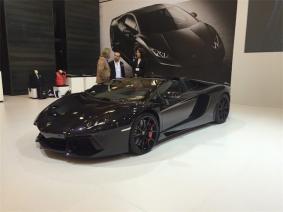 autoshow 2015-9