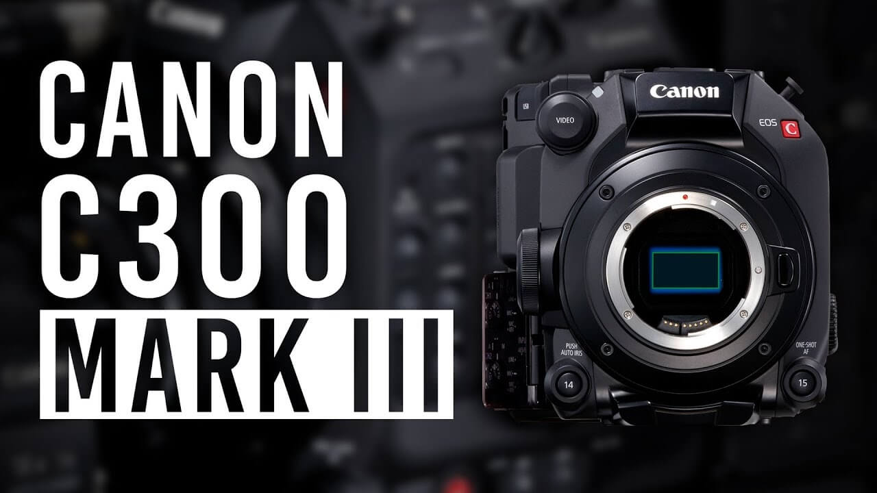 Canon EOS C300 Mark II - Cepkolik