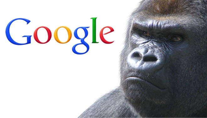 google-goril