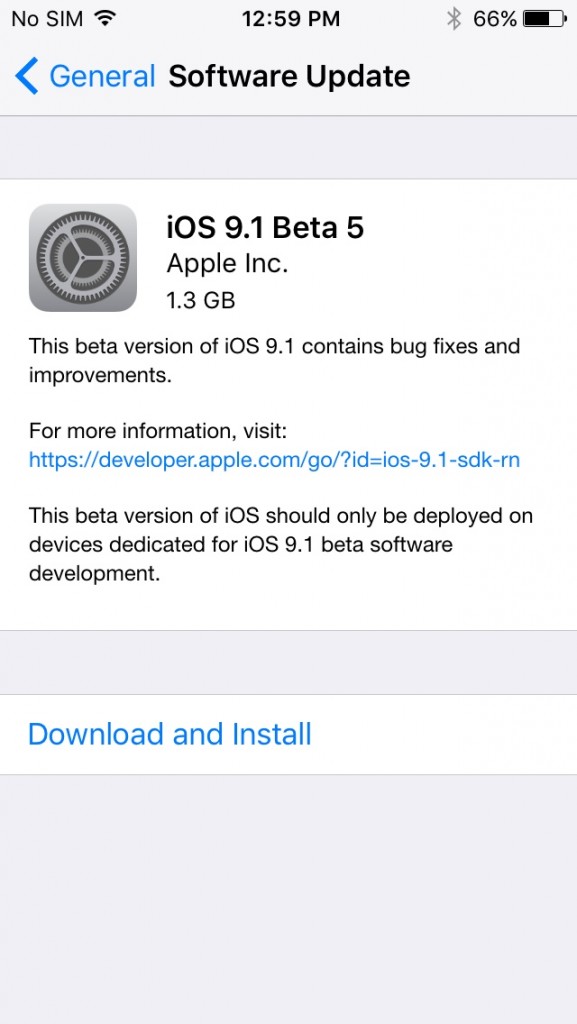 ios-9-1-beta-5-cikti