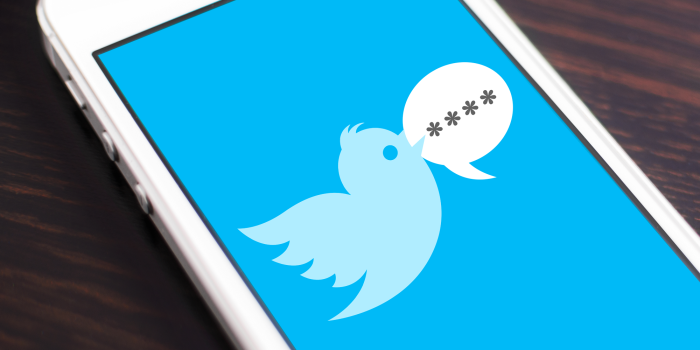 5 Adımda Twitter Güvenliğinizi Arttırın