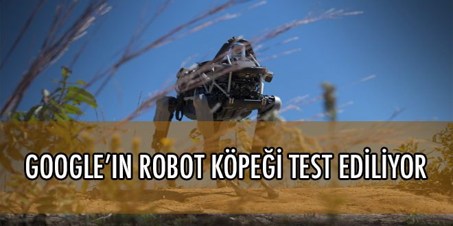Robot Köpek Spot, Dışarı Çıktı