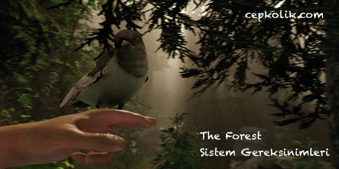 The Forest Sistem Gereksinimleri