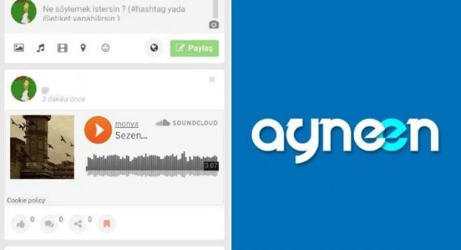 ayneen 1