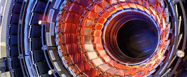 CERN Tesislerine Gelincik Darbesi