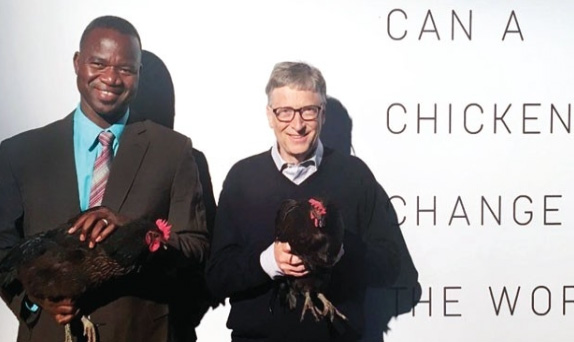 Bill Gates Tavuk Bağışı Yaptı!