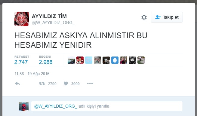 Ayyıldız Tim