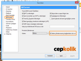 utorrent-hızlandırma-ayarları-2 cepkolik