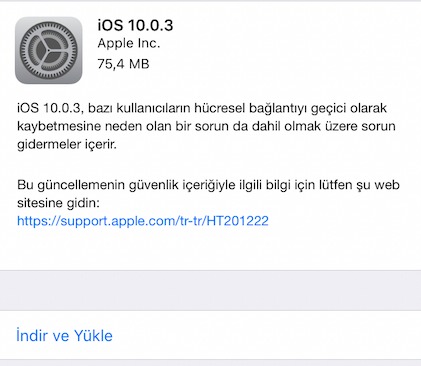 1003apple