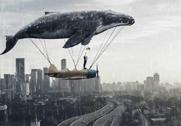 Mavi Balina Oyunu Nedir?