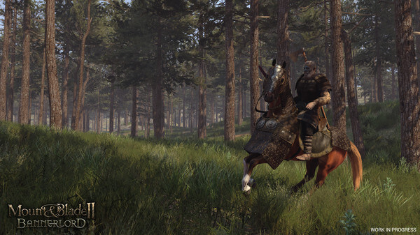 Mount & Blade 2- Bannerlord Yeni Bilgiler