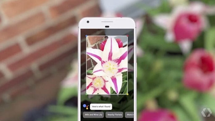 Google Lens Android ve iOS Cihazlara Sunuluyor!