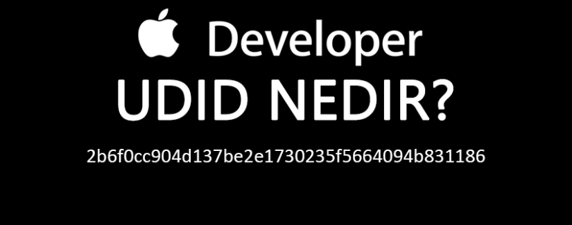 UDID Kaydı Nedir? Nasıl Yapılır?