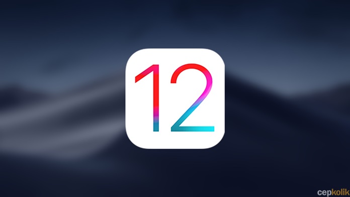 iOS 12 Beta iPhone ve iPad'e Nasıl Yüklenir?