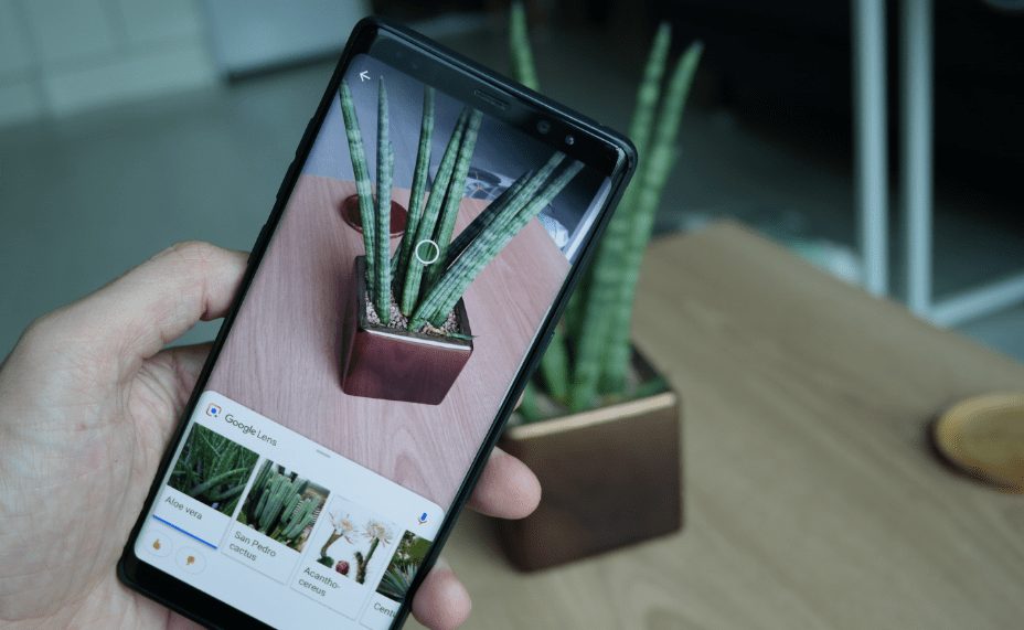 Google Lens Mobil Görseller Aramasına Entegre Edildi