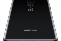 OnePlus 8'e Yeni Bir Renk Seçeneği!