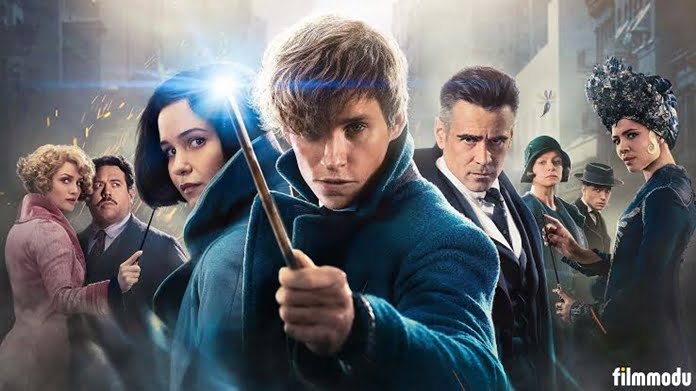 Fantastic Beasts and Where to Find Them, Fantastik Canavarlar Nelerdir, Nerede Bulunurlar ? (2016) - IMDb 7.3 