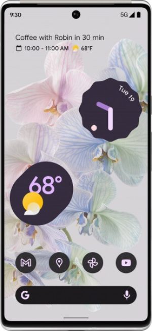 Google Pixel 6 Pro - Cepkolik