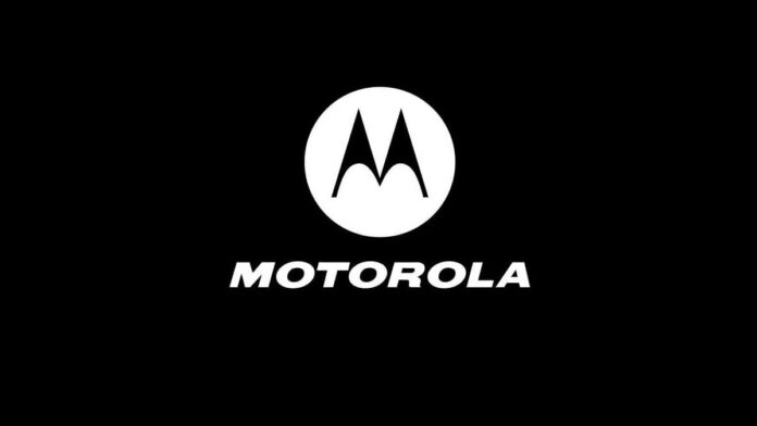 Motorola - Cepkolik