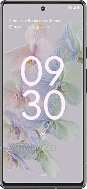 Google Pixel 6a - Cepkolik