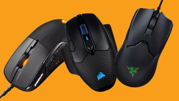 mouse