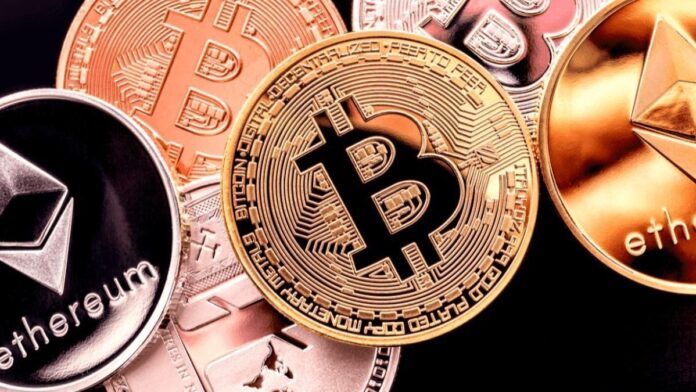 fetch coin