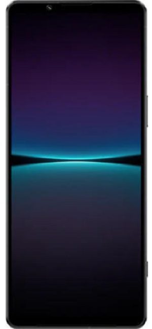 Sony Xperia 1 V - Cepkolik