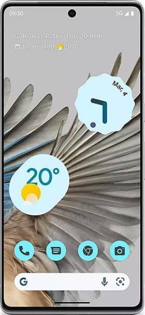 Google Pixel 7 Pro - Cepkolik