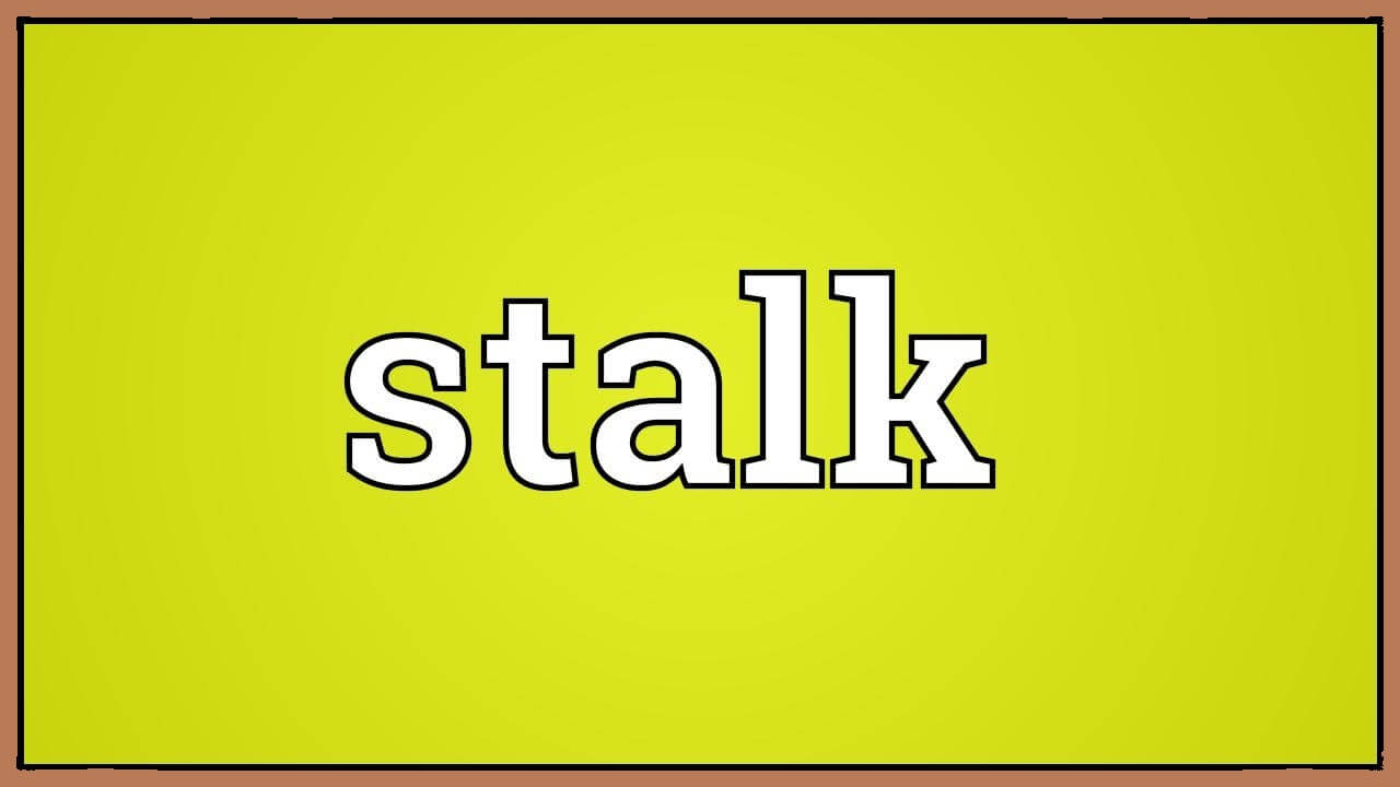 Stalk Ne Demek? Stalk Yapmak Nedir?