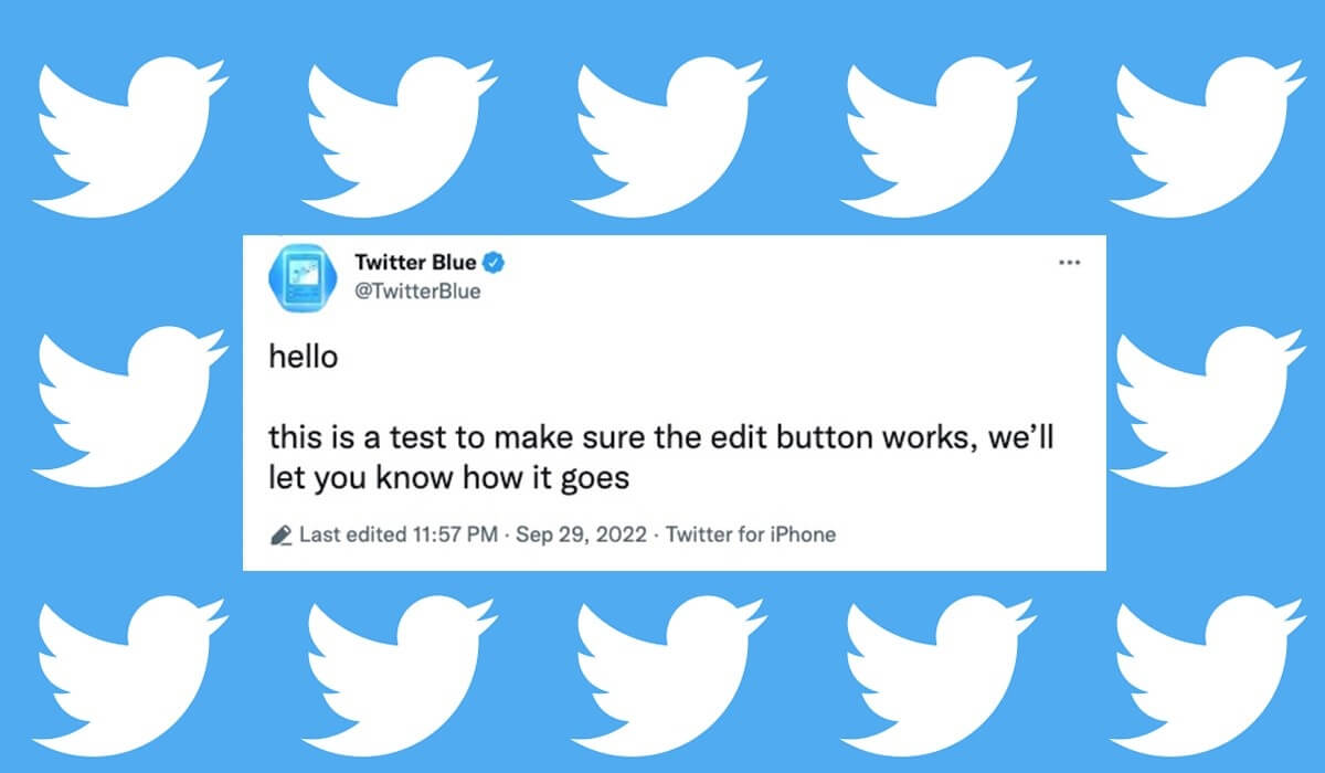 Musk, Twitter Blue aboneliğini 8 dolara çıkaracak - Yeni detaylar var