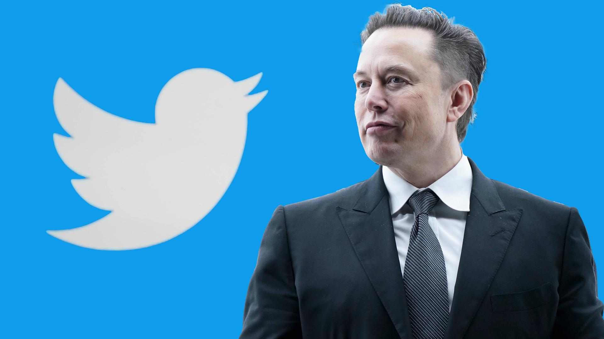 twitter elon musk