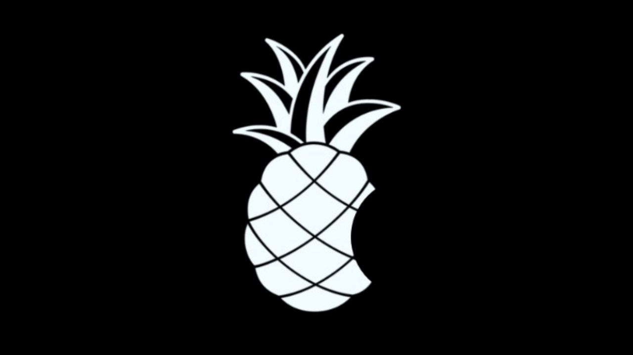 apple_pineapple_logo_2