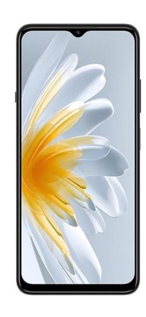 ZTE Voyage 3D - Cepkolik