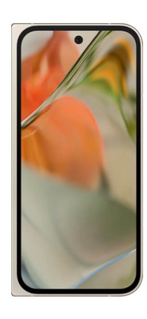 Google Pixel 9 Pro Fold - Cepkolik