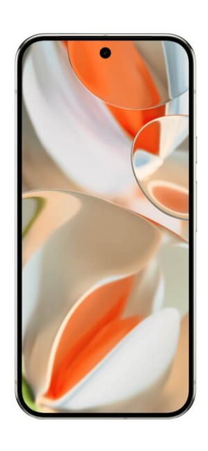 Google Pixel 9 Pro XL - Cepkolik