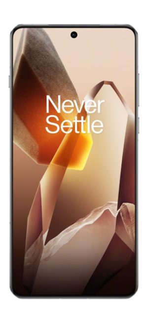 OnePlus 13 - Cepkolik