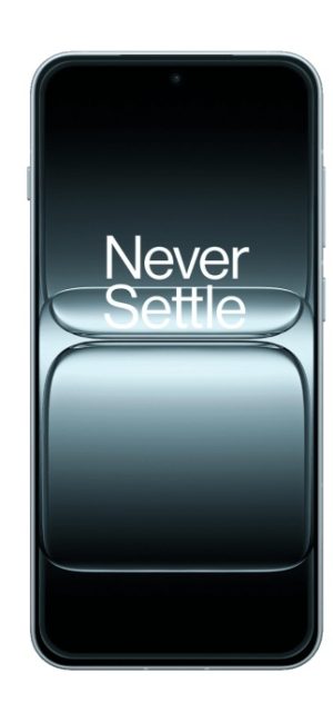 OnePlus 13T - Cepkolik