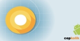 Android O Public Beta Nasıl İndirilir?