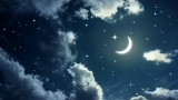 GN Ne Demek Bilenler? GN Açılımı Nedir?