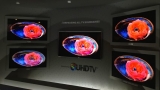Samsung Quantum Dot Monitör Özellikleri Ortaya Çıktı