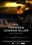 Bu Hafta Vizyona Girecek Olan Filmler 01/08/2014