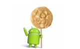 Android 6.0 ismi ne olacak?