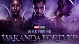 Black Panther: Wakanda Forever, Rekorları Altüst Etti!