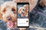 Google Lens İle Fotoğraflarınızı Analiz Etmek Artık Daha Kolay!