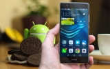 Huawei Oreo Beta Güncellemesini 7 Telefonuna Daha Sunuyor!
