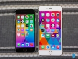 iPhone 6 Tank İle Test Edildi