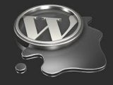 Google’dan Wordpress Engeli