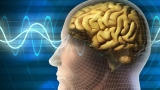 Beynimizin Nasıl Çalıştığı Hakkında Bilinen 10 Yanlış!